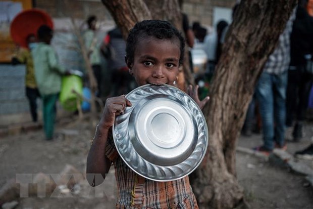 Le Vietnam appelle à la pleine mise en œuvre des obligations du droit international humanitaire en Éthiopie